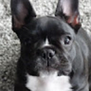 Meet your Posher, Jessy